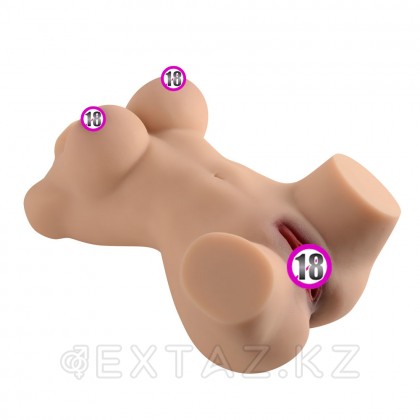 Сексуальный женский торс с вагиной и анусом Vera от sex shop Extaz фото 5