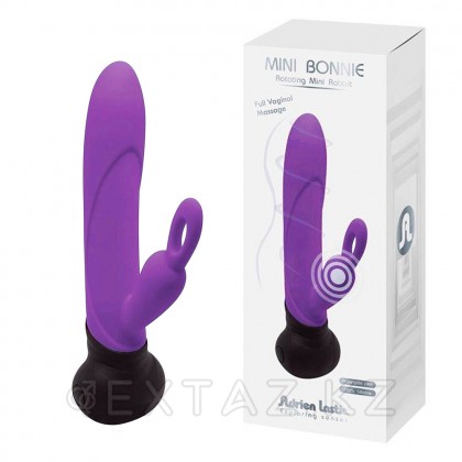 Мини вибратор-кролик Bonnie & Clyde лиловый от Adrien Lastic от sex shop Extaz