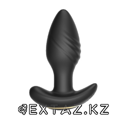 Анальный вибростимулятор с функцией вращения и пультом ДУ от sex shop Extaz фото 4