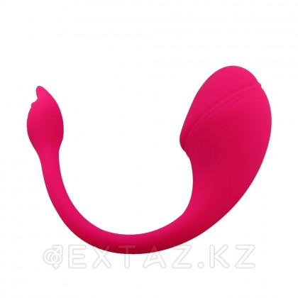Виброяйцо с управлением через приложение Sharp tail от sex shop Extaz фото 2