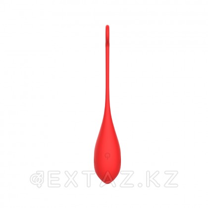 Виброяйцо для стимуляции точки G с пультом ДУ от sex shop Extaz фото 4
