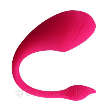 Виброяйцо с управлением через приложение Sharp tail от sex shop Extaz