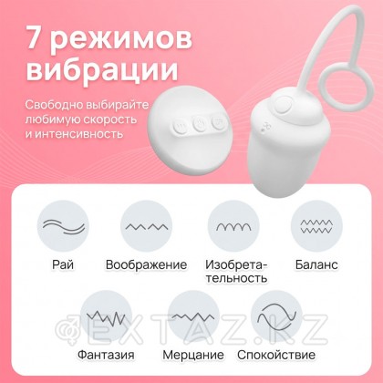 Виброяйцо DryWell Scarlett на дистанционном пульте управления от sex shop Extaz фото 6