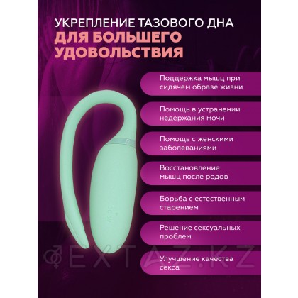 Smart-вибратор Magic Motion Flamingo от sex shop Extaz фото 4