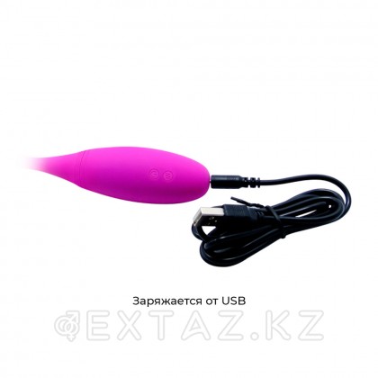 Двусторонний вибратор Pretty love перезаряжаемый от sex shop Extaz фото 7