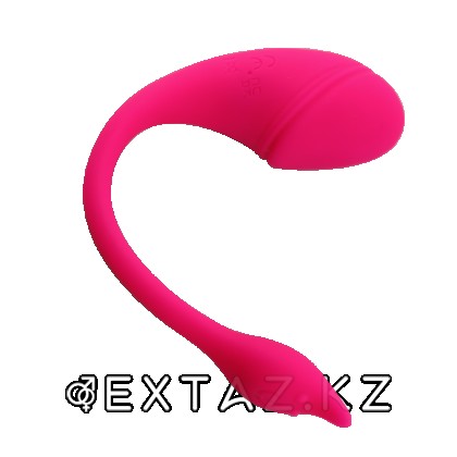 Виброяйцо с управлением через приложение Sharp tail от sex shop Extaz фото 3