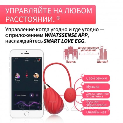 Виброяйцо Magic Motion Sundae App, красное от sex shop Extaz фото 4