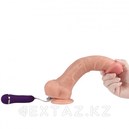 Реалистичный вибратор Big Aplollo с пультом управления, 24,5 см от sex shop Extaz фото 5