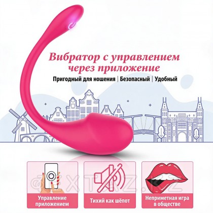 Виброяйцо с управлением через приложение Love spouse APP от sex shop Extaz фото 9