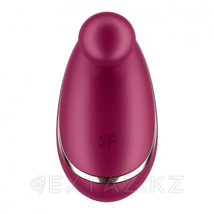 Стимулятор клитора Satisfyer Spot On бордовый от sex shop Extaz фото 3