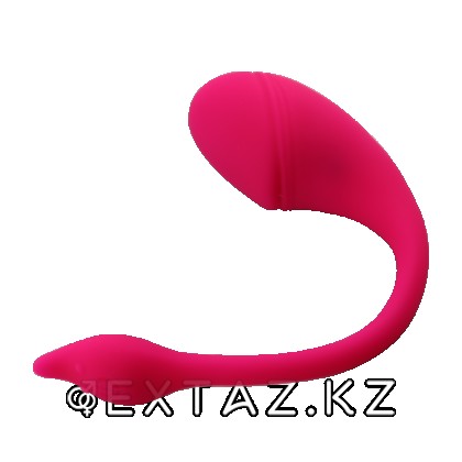 Виброяйцо с управлением через приложение Sharp tail от sex shop Extaz фото 4