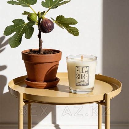 Массажная Cвеча Pleasure Lab Midnight Sun 50 мл от sex shop Extaz фото 6