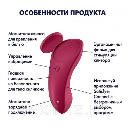 Набор вибростимуляторов Satisfyer Partner Box 1: вибровкладка в трусики Sexy Secret+ вибратор для пар Double joy от sex shop Extaz фото 5