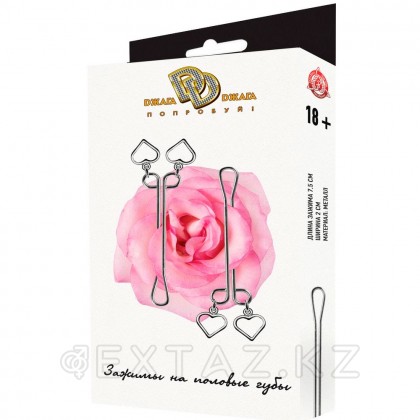Зажимы на половые губы Hearts от sex shop Extaz фото 2