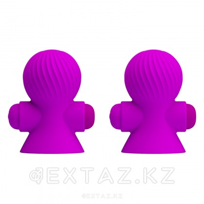 Стимулятор сосков с вибрацией, фиолетовый, 2 шт от sex shop Extaz