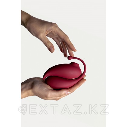 Клиторальный стимулятор и виброяйцо Inspiration от Adrien Lastic от sex shop Extaz фото 10