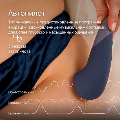 Клиторальный вибратор Womanizer Vibe, темно-синий от sex shop Extaz фото 14
