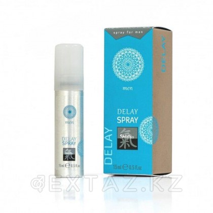 Интимный пролонгирующий спрей Delay Shiatsu 15 мл. от sex shop Extaz