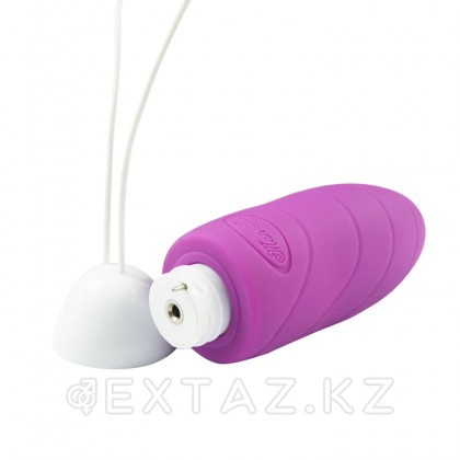 Виброяйцо Faery с пультом ДУ фиолетовая от sex shop Extaz фото 7