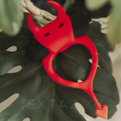 Эрекционное кольцо Devol Adrien Lastic от sex shop Extaz фото 4