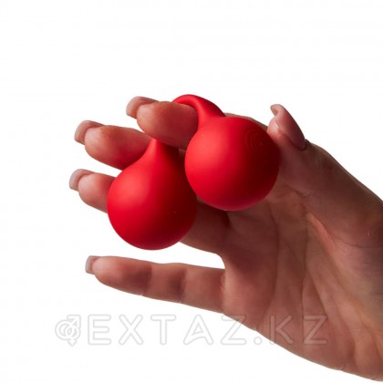 Стимулятор клитора с вибрацией SVibe Snail TWINN Clit Hugging Vibe вишневый от sex shop Extaz фото 10