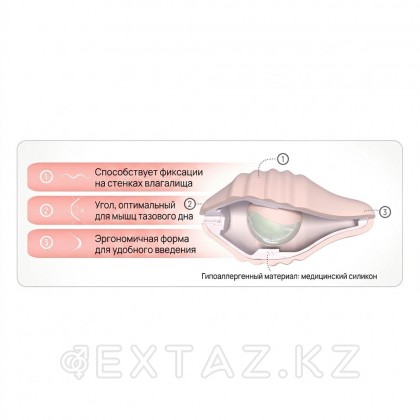 Набор для тренировок интимных мышц Pelvix от FEMINTIMATE от sex shop Extaz фото 4
