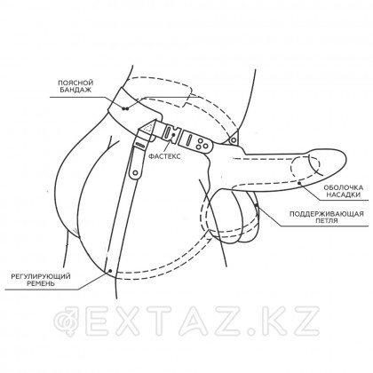 Фаллоимитатор поясной пустотелый с бандажом (19 см.) от sex shop Extaz фото 3
