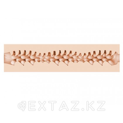 Мастурбатор Fleshlight Fantasy Evie Akashiya Sho Akuma (вагина) от sex shop Extaz фото 4