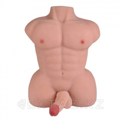 Мужской торс с фаллоимитатром (6 кг.) от sex shop Extaz