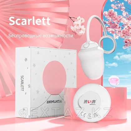 Виброяйцо DryWell Scarlett на дистанционном пульте управления от sex shop Extaz фото 5