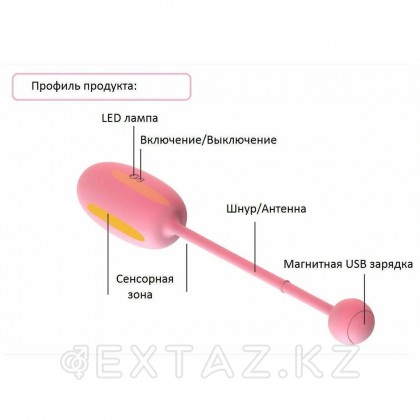 Тренажер Кегеля Magic Motion Kegel Coach, розовый - extaz.kz фото 10 Тренажер Кегеля Magic Motion Kegel Coach, розовый от sex shop Extaz фото 10