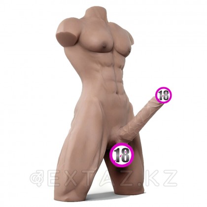 Сексуальный мужской торс с пенисом (15 кг) от sex shop Extaz