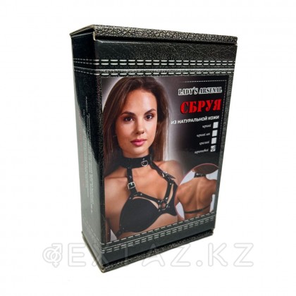 Сбруя с ошейником из темно-шоколадной кожи от sex shop Extaz фото 2