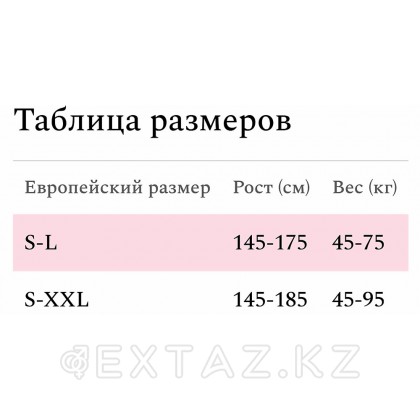 Боди-комбинезон с доступом Amor El Esponela в сетку со стразами  XL-XXL от sex shop Extaz фото 6