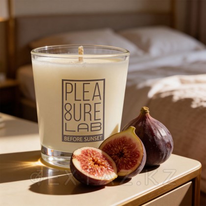 Массажная Cвеча Pleasure Lab Midnight Sun 50 мл от sex shop Extaz фото 8