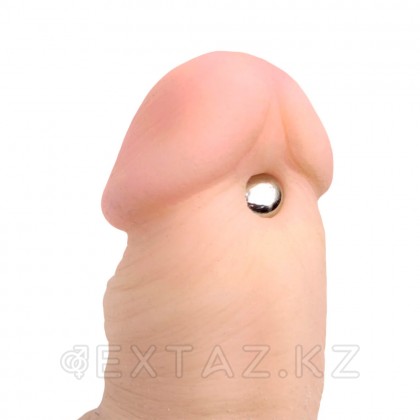 Магнитный зажим на соски и член Master Series Magnus Mighty Magnetic Orbs, 0.9 см от sex shop Extaz фото 2