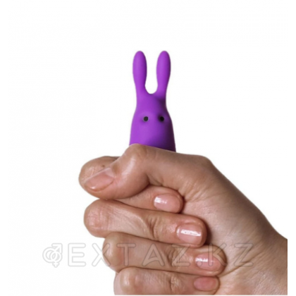 Карманный вибратор-кролик Rabbit Adrien Lastic фиолетовый от sex shop Extaz фото 7