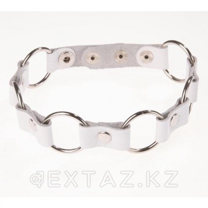 Ошейник от sex shop Extaz