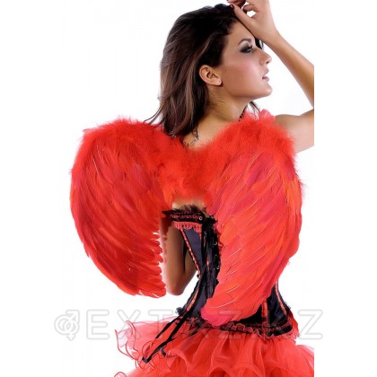 Крылья ангела(красный) от sex shop Extaz фото 2
