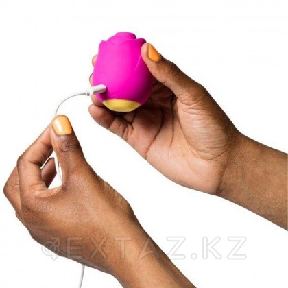 Бесконтактный клиторальный стимулятор Romp Suction Rose от sex shop Extaz фото 7