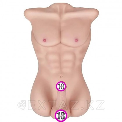 Спортивное мужское тело с фаллоимитатором (8,5 кг.) от sex shop Extaz фото 2