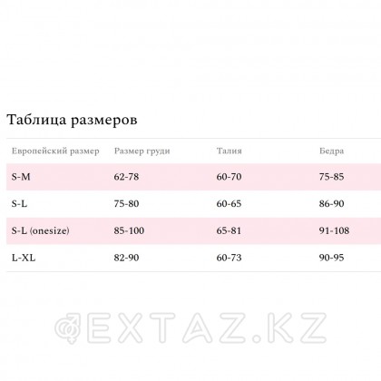 Боди-комбинезон с доступом Amor El Cristina, ажурное кружево, S-L от sex shop Extaz фото 2
