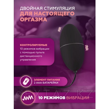 Виброяйцо Alive Magic Egg с пультом ДУ, черный от sex shop Extaz фото 2