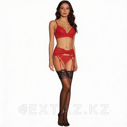 Красный пояс для чулок, размер S от sex shop Extaz фото 3