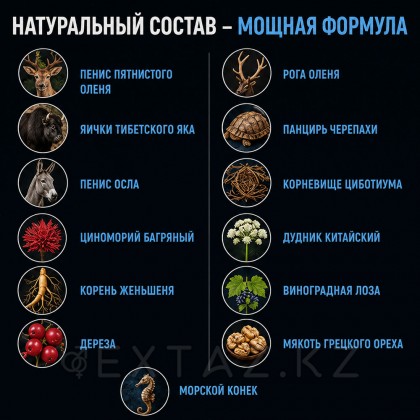 Возбуждающее средство для мужчин Boss Royal Viagra (New!) - 20 таблеток от sex shop Extaz фото 3