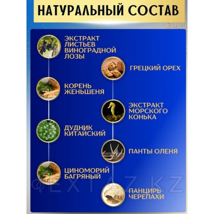 Старый капитан  от sex shop Extaz фото 2