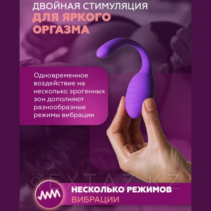 Стимулятор клитора и точки G Smart Dream II с пультом ДУ от Adrien Lastic от sex shop Extaz фото 9