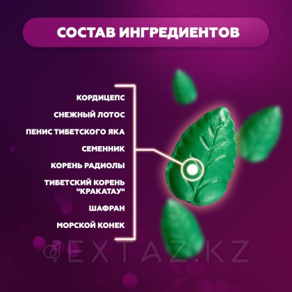 Возбуждающее средство для мужчин HERB VIAGRA (растительная виагра) 10 таб. от sex shop Extaz фото 7