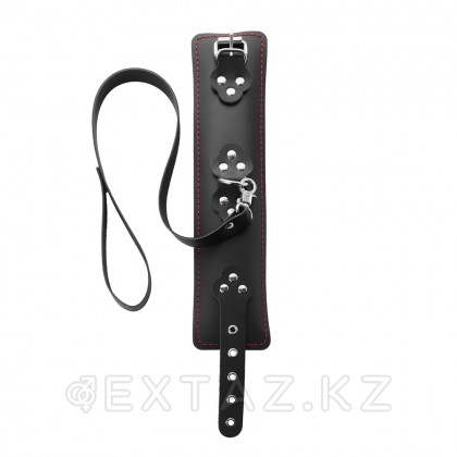 Ошейник с мягкой подкладкой и поводком от sex shop Extaz