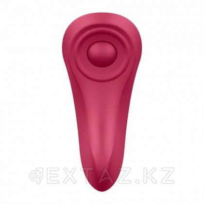 Набор вибростимуляторов Satisfyer Partner Box 1: вибровкладка в трусики Sexy Secret+ вибратор для пар Double joy от sex shop Extaz фото 3